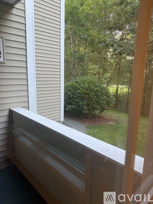 A view from a window of a house with a bush in the yard.