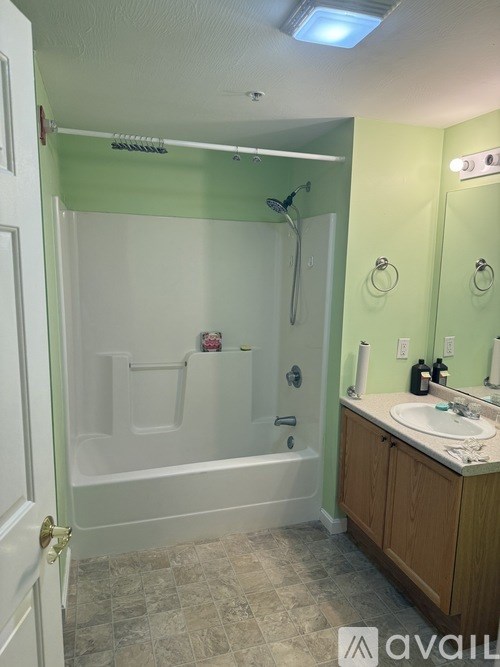 A bathroom with a green wall and a white door.