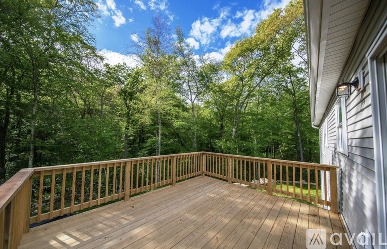 A wooden deck overlooks a forest.