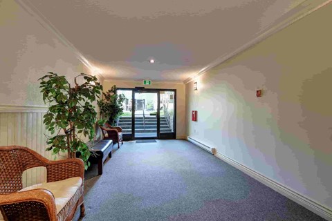 A room with a couch, chair, and a plant.