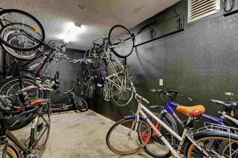 A room full of bicycles hanging on hooks.