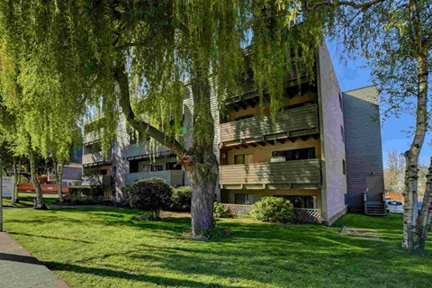 A modern building with a triangular facade is surrounded by trees and grass.