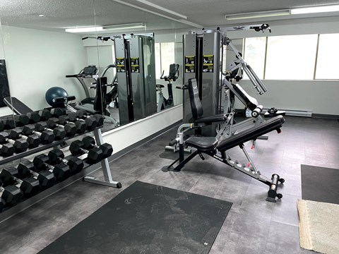 A gym with a variety of equipment including a leg press machine, dumbbells, and a bench press.