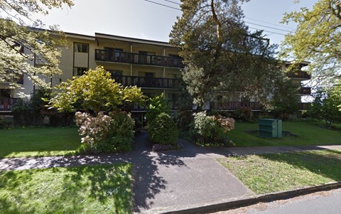 A street view of a residential area with a building and greenery.