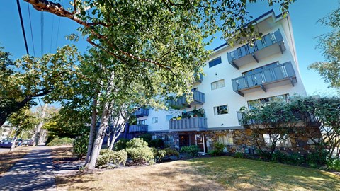 A modern apartment building with balconies and a tree in the foreground.