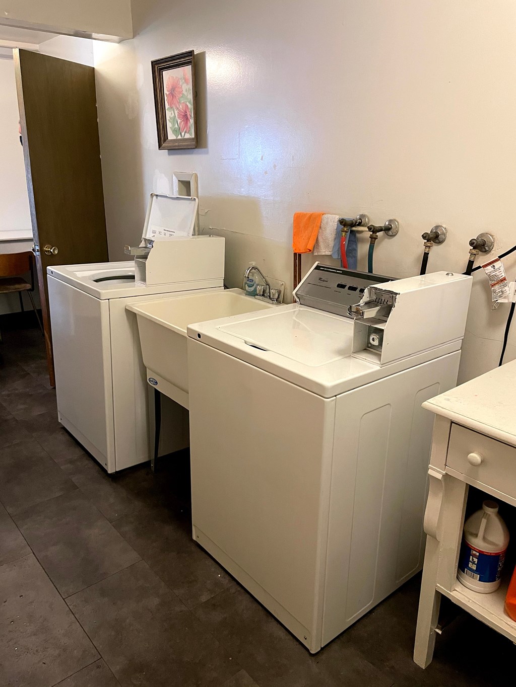 A white sink and washer in a laundry room.