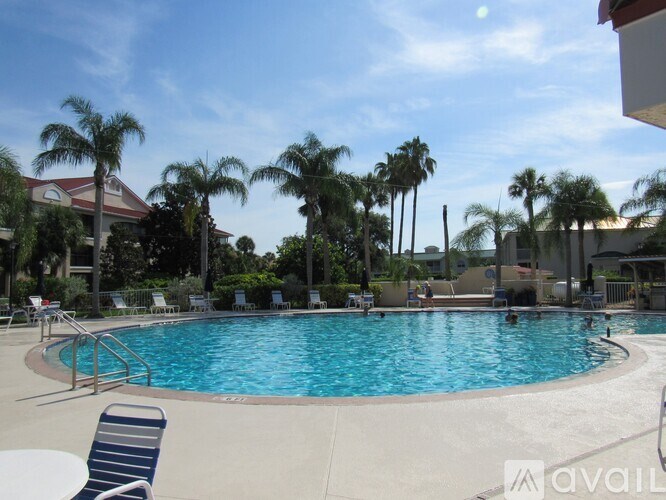 A pool surrounded by palm trees and lounge chairs.