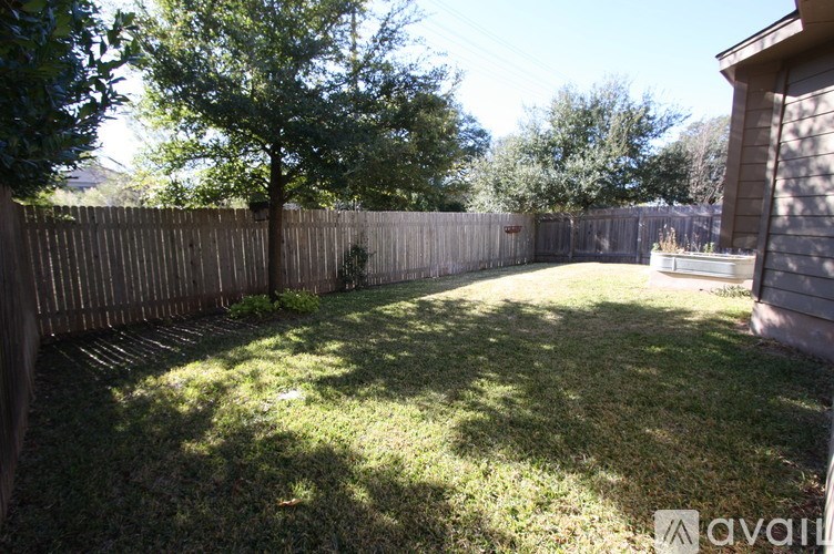 A backyard with a wooden fence and a tree.