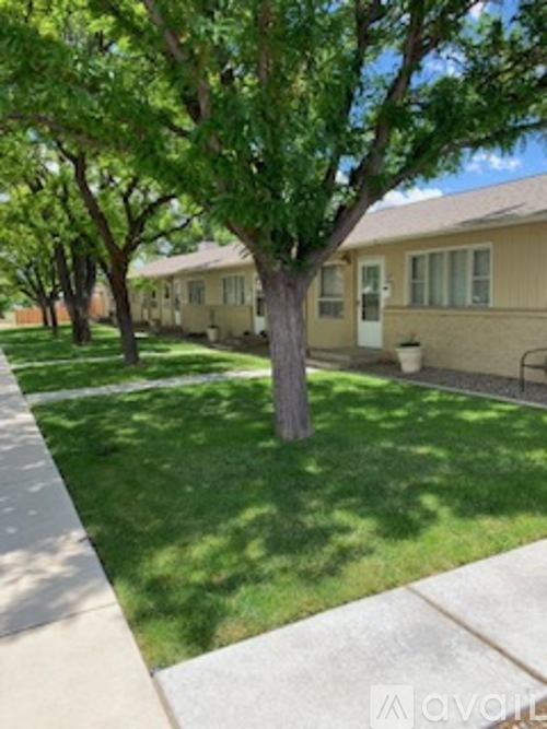 A tree in a grassy area in front of a building.