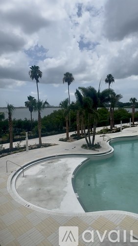 A pool surrounded by palm trees and a cloudy sky.