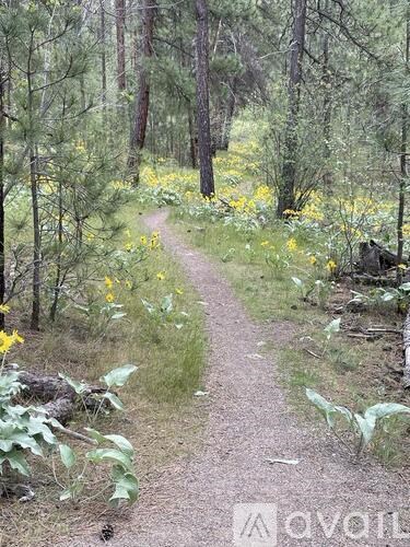 A dirt trail winds through a forest with yellow flowers on the side.