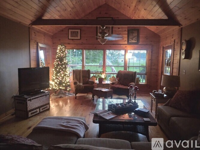 A living room with a Christmas tree and a television.