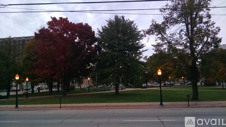 A park with trees and street lights.