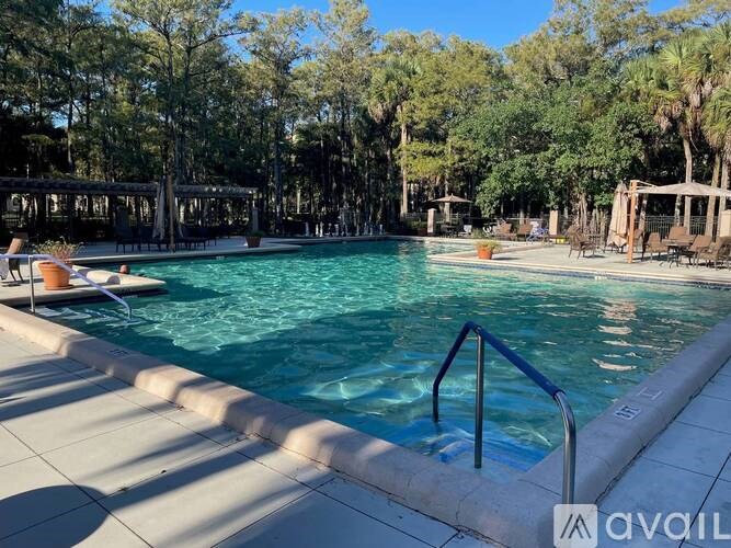 A pool surrounded by trees and a wooden pergola.