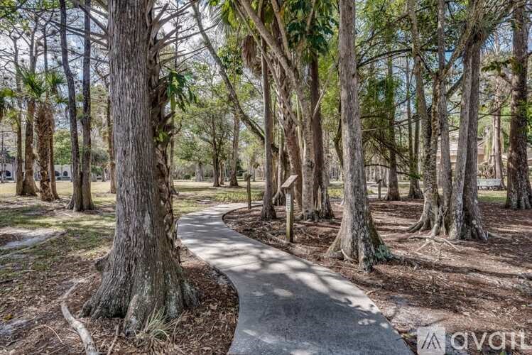 A pathway in a park with trees on both sides.