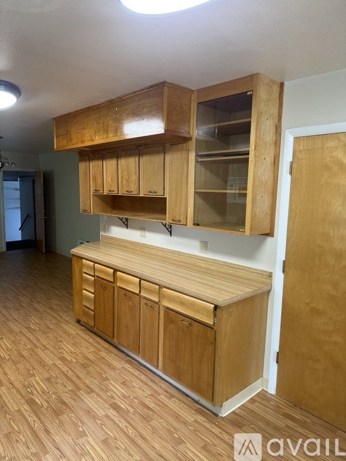 A kitchen with wooden cabinets and a counter.