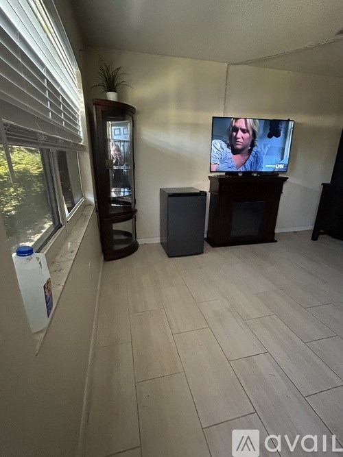 A room with a television on a stand and a cabinet with a plant on top.