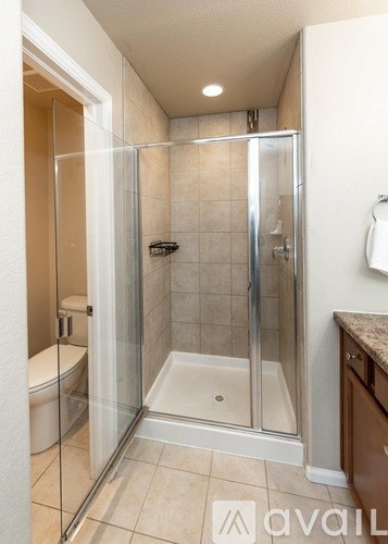 A bathroom with a walk-in shower and a toilet.