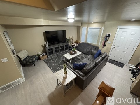 A living room with a grey couch and a television.