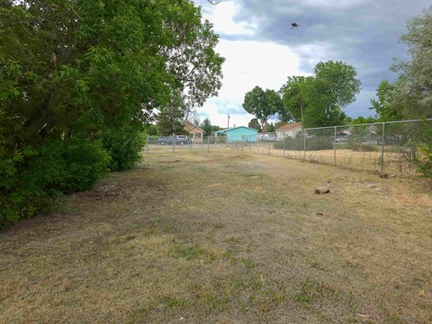 A field with a fence and trees in the background.