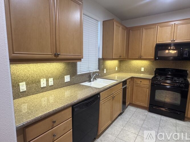 A pool surrounded by plants and a stone pathway.