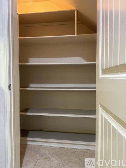 Empty pantry with shelves and a white door.