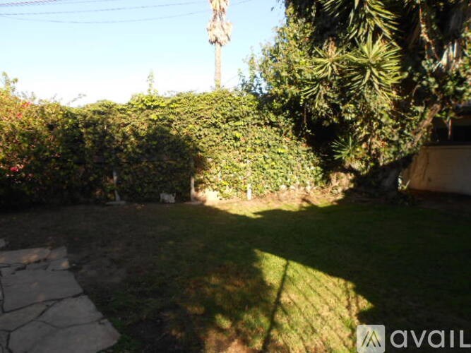 A backyard with a stone path and green plants.