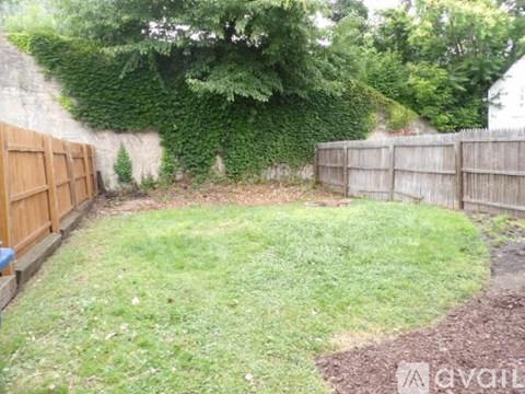 A backyard with a wooden fence and a green lawn.