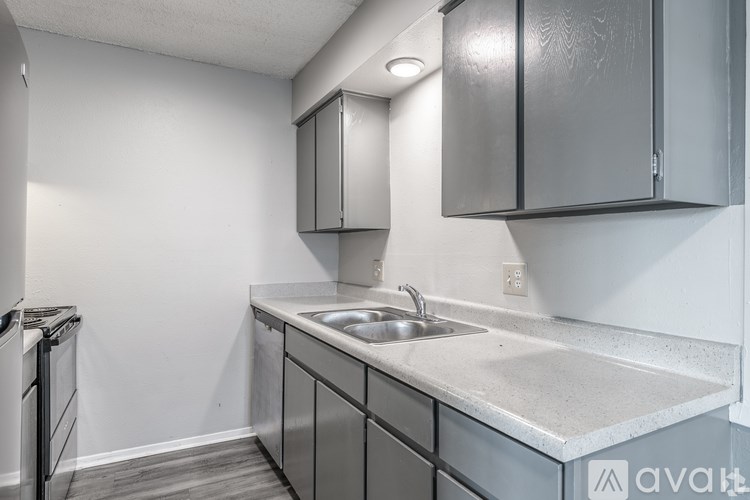 A kitchen with a sink and cabinets.
