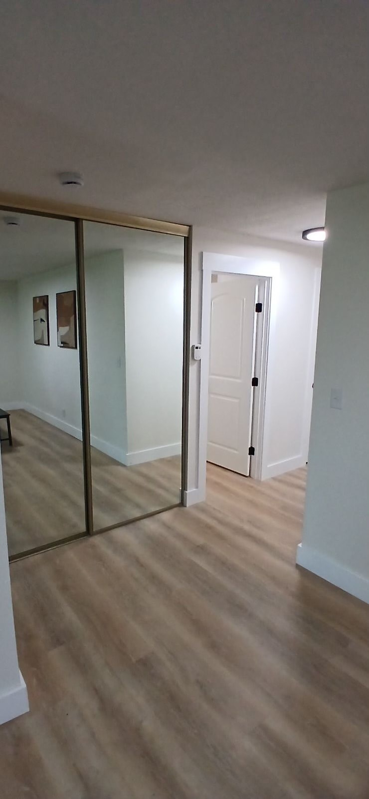 A room with a wooden floor and a white door.