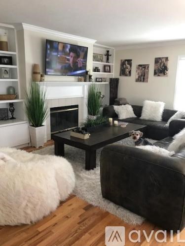 A dog is sitting on a black couch in a living room.