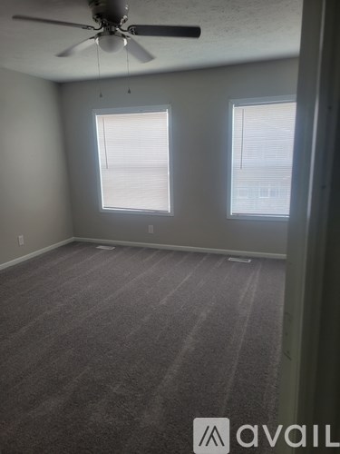 A room with a carpeted floor, a ceiling fan, and two windows.