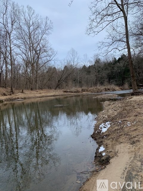 A calm river reflects the trees and sky in a natural landscape.