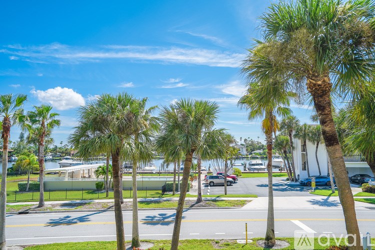 A row of palm trees line a street.