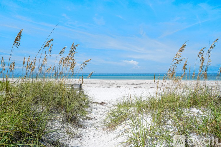 A beach scene with grasses in the foreground and a clear blue sky above.