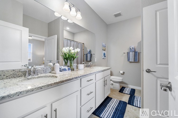 A bathroom with a sink, mirror, toilet, and a rug on the floor.