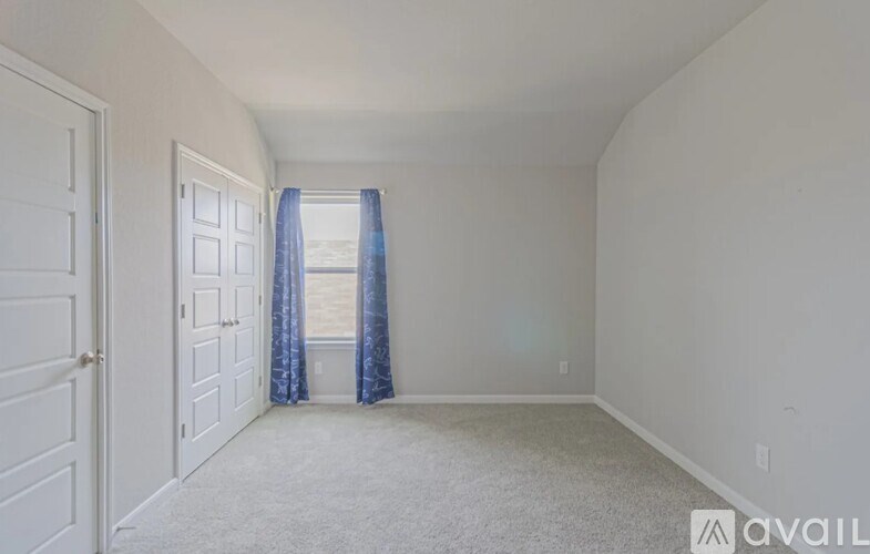 A room with a carpeted floor, a door, and a window with blue curtains.