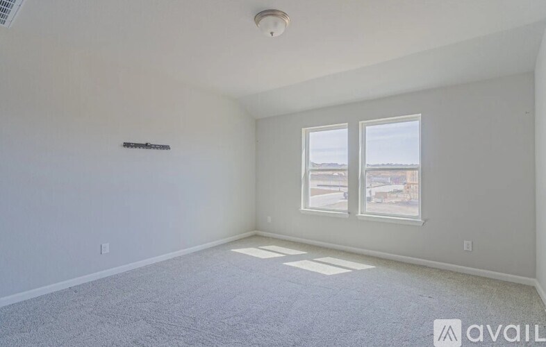 A room with a carpeted floor, two windows, and a ceiling light fixture.