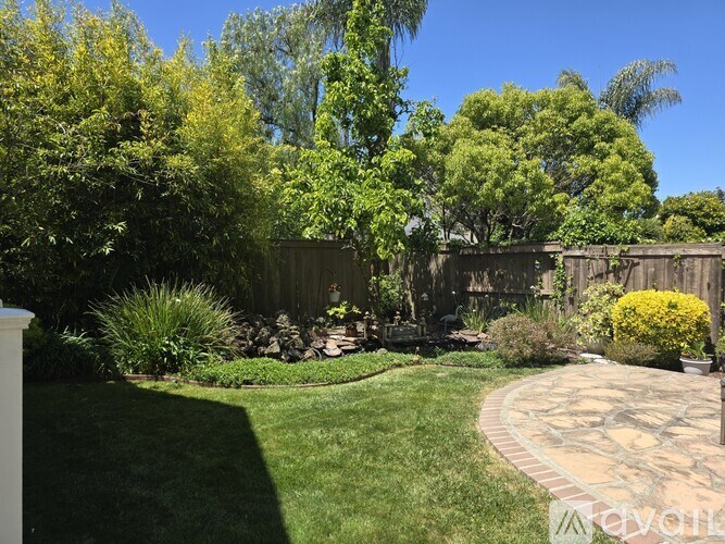A backyard with a circular walkway and a variety of plants.