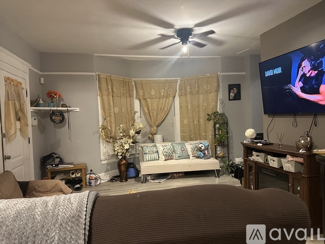 A living room with a couch, a television, and a ceiling fan.