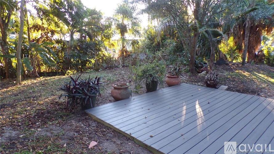 A wooden deck surrounded by trees and plants.