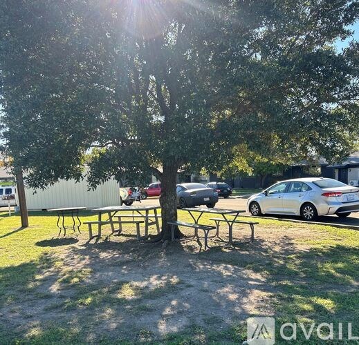 A tree with a picnic table in front of it.