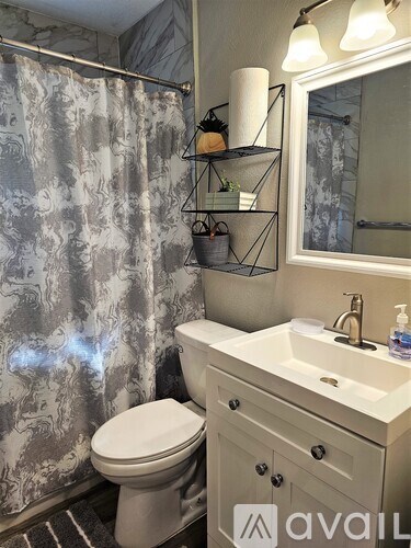 A bathroom with a toilet, sink, and shower curtain.