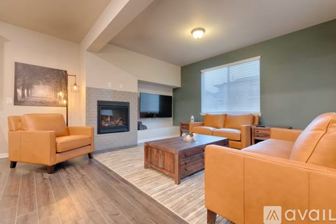 A living room with a fireplace and a television.