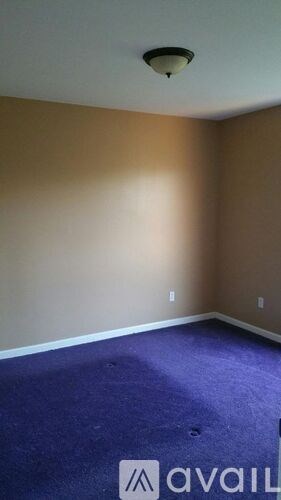A room with a purple carpet and a ceiling light.
