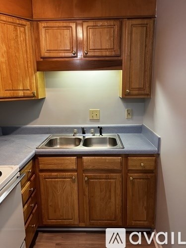 A kitchen with wooden cabinets and a double sink.