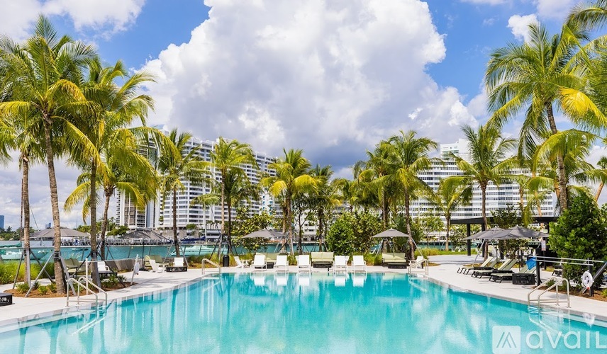 A large swimming pool surrounded by palm trees and lounge chairs.