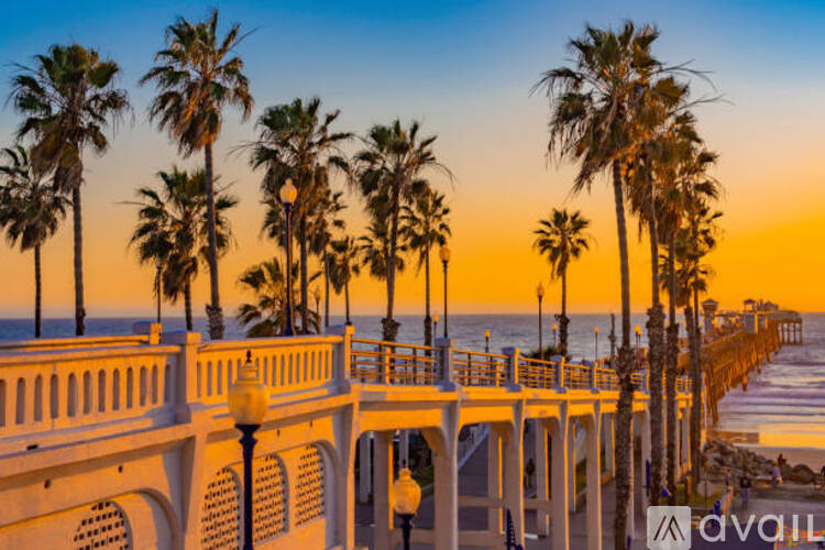 A beautiful beach scene with palm trees and a pier.