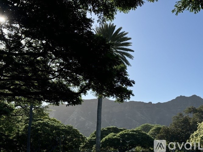 A palm tree stands tall in the foreground with a mountain range in the background.