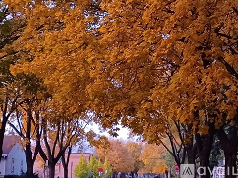 A tree with yellow leaves is in the foreground.